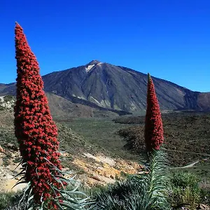 Apartamento Casa Ivonne -, San Isidro (Tenerife)